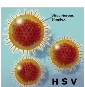 HSV-microscopio